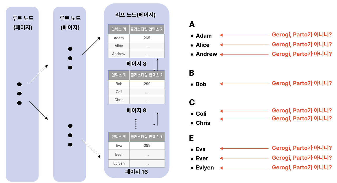 이미지 28-1